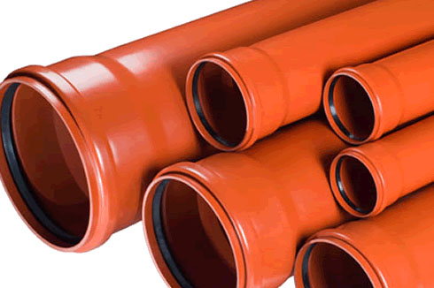 Kloakk (innanhýsis)