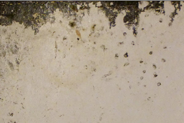 Rottuvøka - umsiting