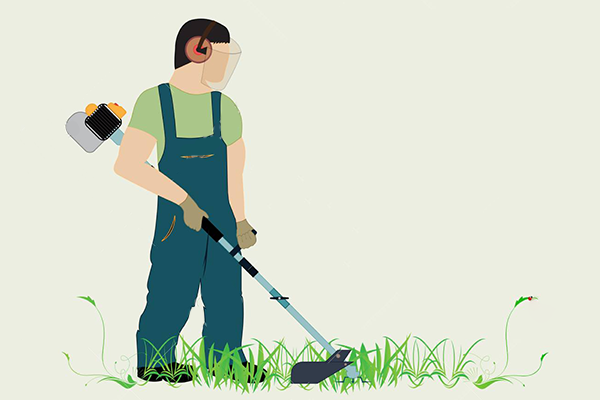 Grøn øki - kort til veitarar